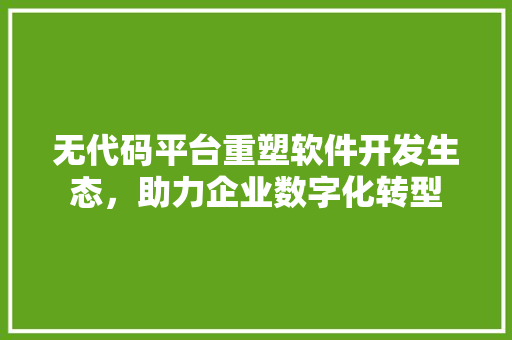 无代码平台重塑软件开发生态，助力企业数字化转型