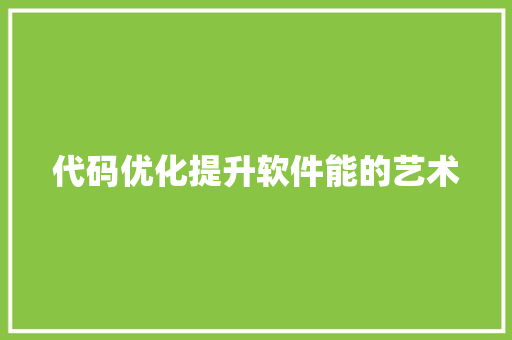 代码优化提升软件能的艺术