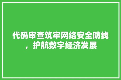 代码审查筑牢网络安全防线，护航数字经济发展