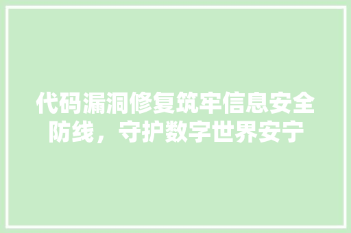 代码漏洞修复筑牢信息安全防线，守护数字世界安宁
