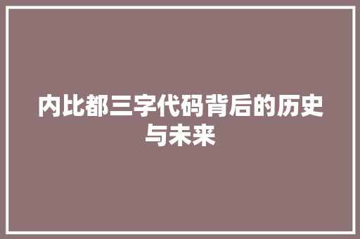 内比都三字代码背后的历史与未来