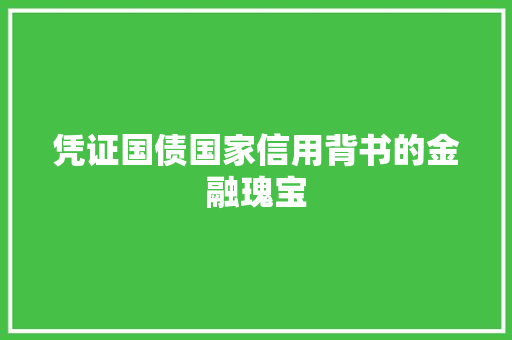 凭证国债国家信用背书的金融瑰宝
