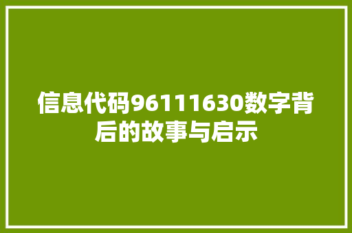 信息代码96111630数字背后的故事与启示
