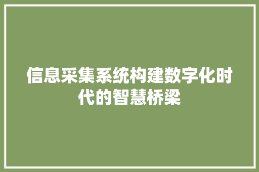 信息采集系统构建数字化时代的智慧桥梁