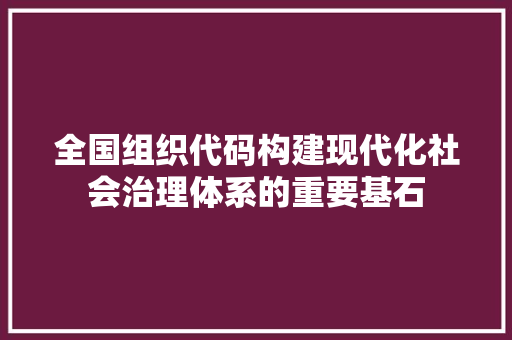 全国组织代码构建现代化社会治理体系的重要基石