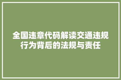 全国违章代码解读交通违规行为背后的法规与责任