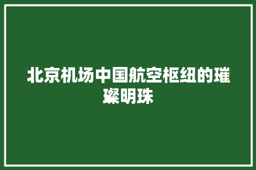 北京机场中国航空枢纽的璀璨明珠