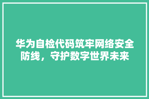 华为自检代码筑牢网络安全防线，守护数字世界未来