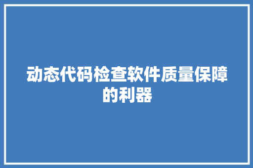 动态代码检查软件质量保障的利器