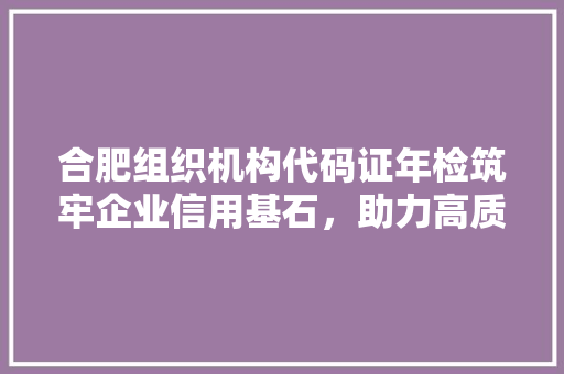合肥组织机构代码证年检筑牢企业信用基石，助力高质量发展