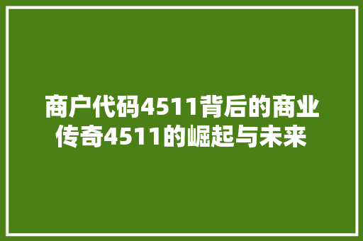 商户代码4511背后的商业传奇4511的崛起与未来