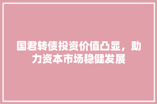 国君转债投资价值凸显，助力资本市场稳健发展