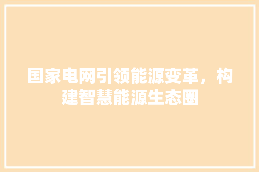 国家电网引领能源变革，构建智慧能源生态圈