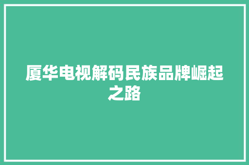 厦华电视解码民族品牌崛起之路