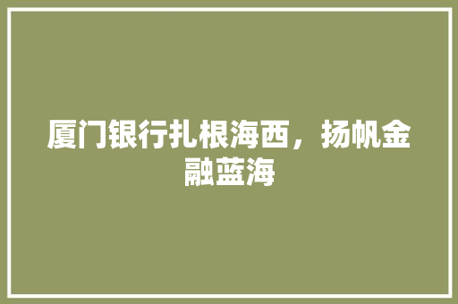 厦门银行扎根海西，扬帆金融蓝海