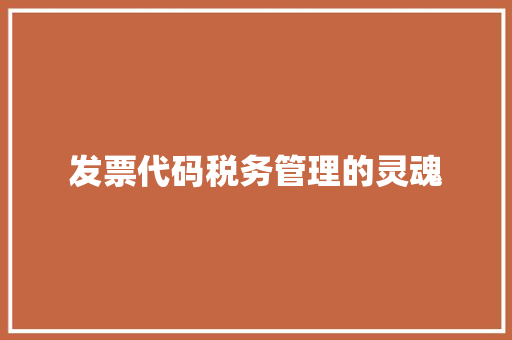 发票代码税务管理的灵魂