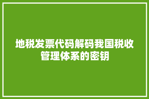 地税发票代码解码我国税收管理体系的密钥