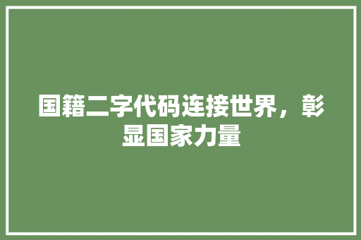 国籍二字代码连接世界，彰显国家力量