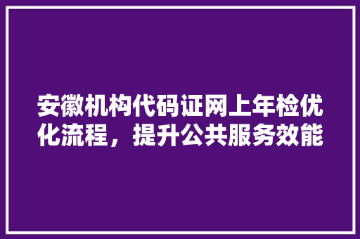 安徽机构代码证网上年检优化流程，提升公共服务效能