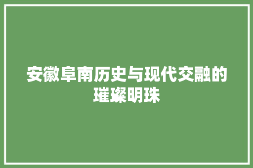安徽阜南历史与现代交融的璀璨明珠