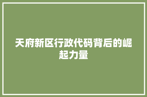 天府新区行政代码背后的崛起力量