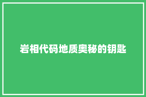 岩相代码地质奥秘的钥匙
