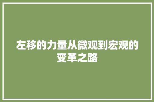 左移的力量从微观到宏观的变革之路