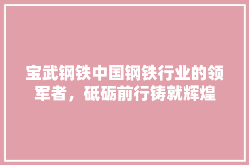 宝武钢铁中国钢铁行业的领军者，砥砺前行铸就辉煌
