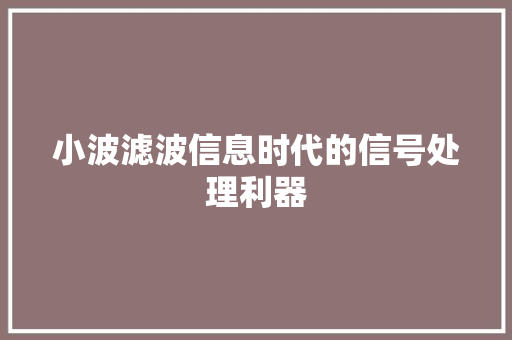 小波滤波信息时代的信号处理利器