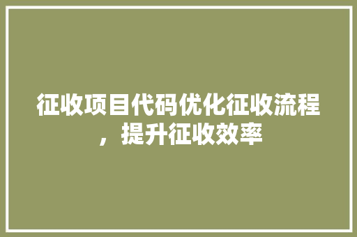 征收项目代码优化征收流程，提升征收效率