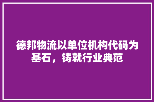 德邦物流以单位机构代码为基石，铸就行业典范