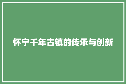 怀宁千年古镇的传承与创新