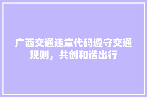 广西交通违章代码遵守交通规则，共创和谐出行