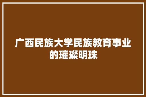 广西民族大学民族教育事业的璀璨明珠