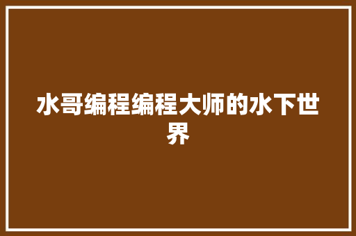 水哥编程编程大师的水下世界