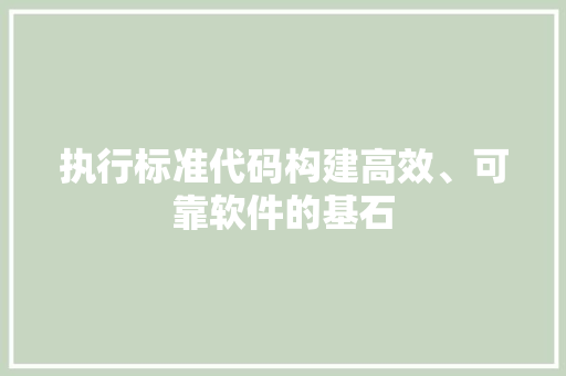 执行标准代码构建高效、可靠软件的基石