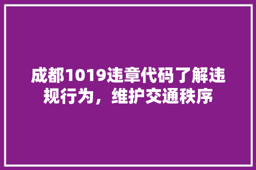 成都1019违章代码了解违规行为，维护交通秩序
