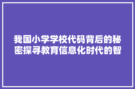 我国小学学校代码背后的秘密探寻教育信息化时代的智慧校园