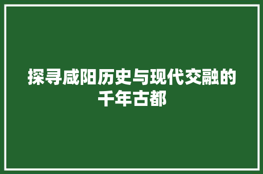 探寻咸阳历史与现代交融的千年古都