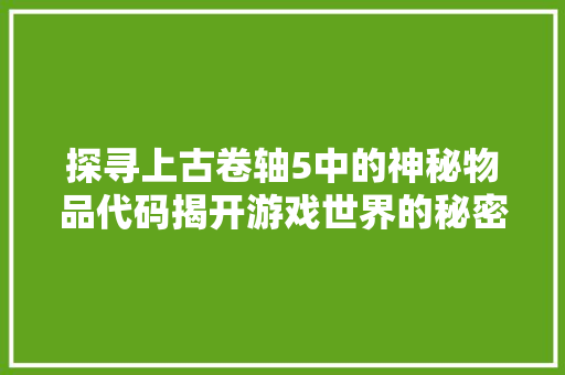 探寻上古卷轴5中的神秘物品代码揭开游戏世界的秘密面纱  第1张