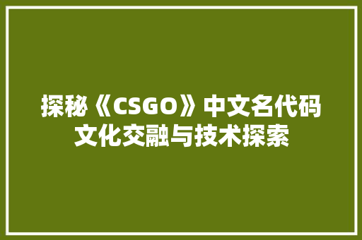 探秘《CSGO》中文名代码文化交融与技术探索