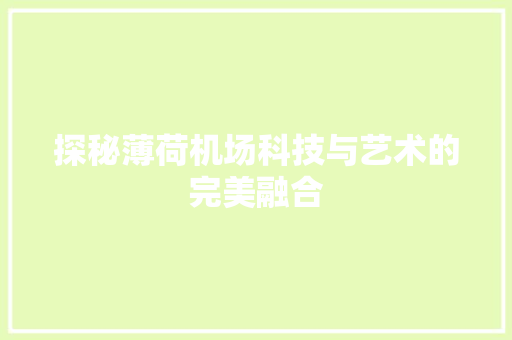 探秘薄荷机场科技与艺术的完美融合