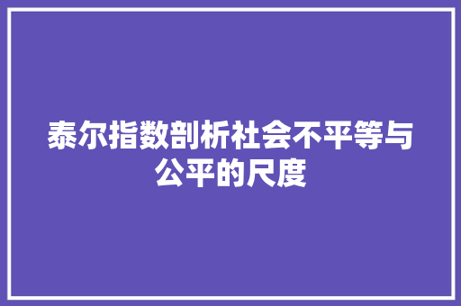 泰尔指数剖析社会不平等与公平的尺度
