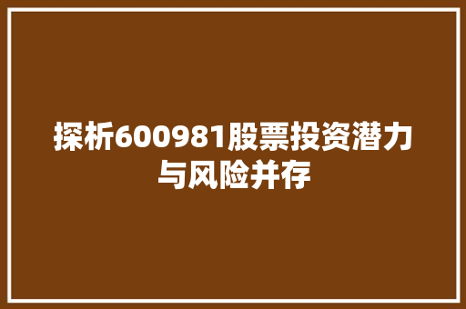 探析600981股票投资潜力与风险并存