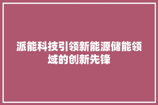 派能科技引领新能源储能领域的创新先锋