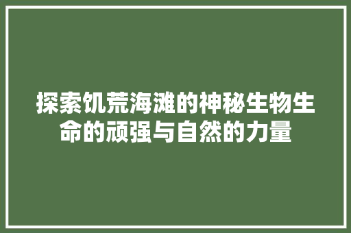 探索饥荒海滩的神秘生物生命的顽强与自然的力量