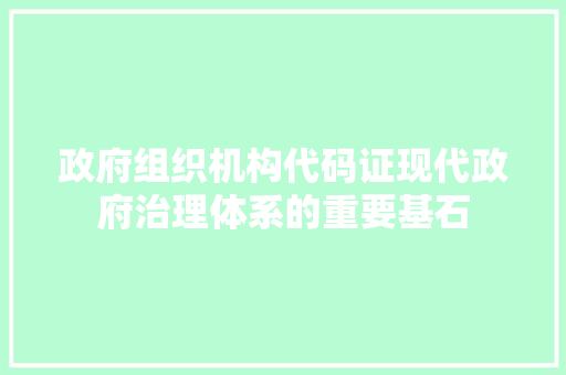 政府组织机构代码证现代政府治理体系的重要基石