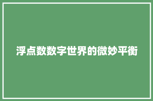 浮点数数字世界的微妙平衡
