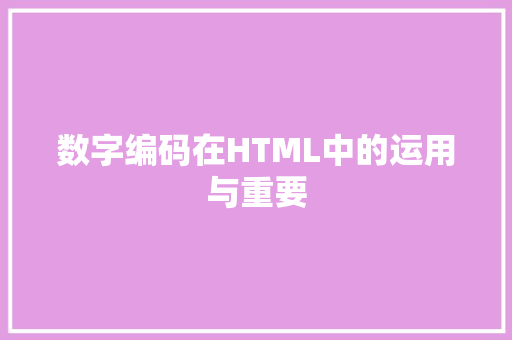 数字编码在HTML中的运用与重要