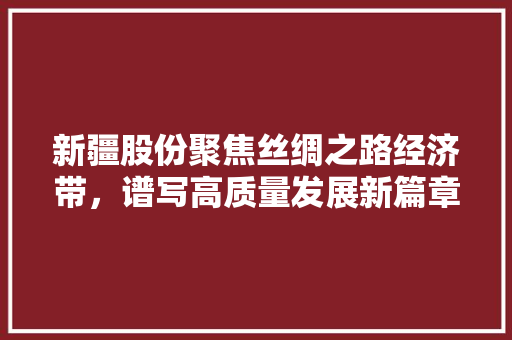 新疆股份聚焦丝绸之路经济带，谱写高质量发展新篇章